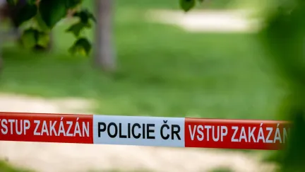 Úkladná vražda a některé další činy by mohly být nepromlčitelné, navrhla koalice
