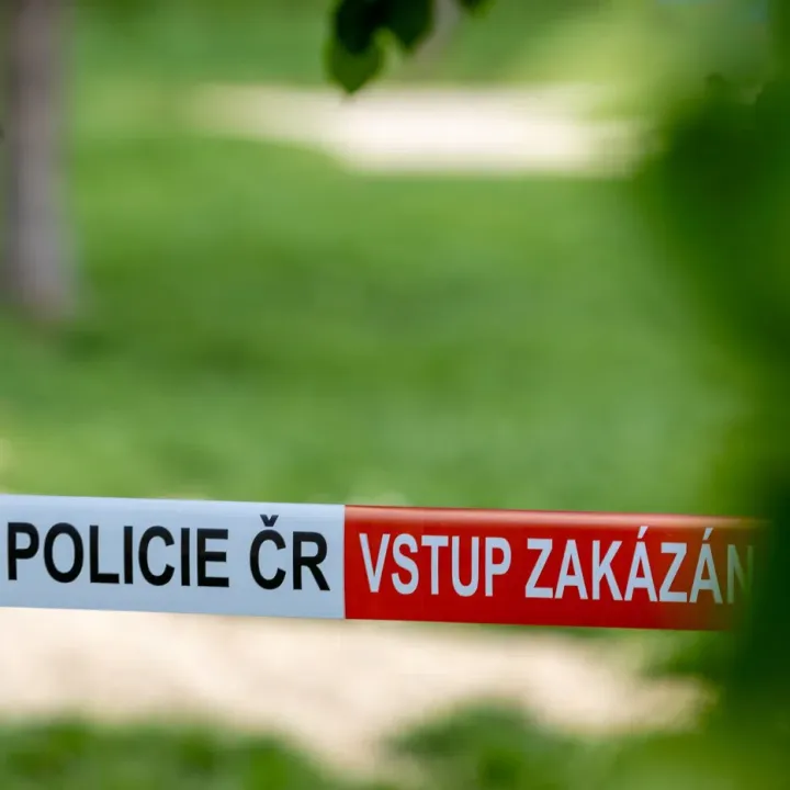 Úkladná vražda a některé další činy by mohly být nepromlčitelné, navrhla koalice