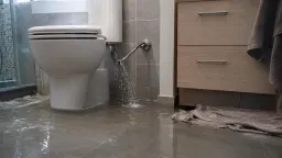 Stojí pár stovek, ale když praskne, způsobí škodu za celou výplatu. Tohle doma téměř nikdo nekontroluje