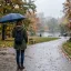 Léto skončí v sobotu. Pátek přinese poslední tropy, pak už sešup, oznámili meteorologové