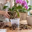 Orchidej teď zkontrolujte. Jedna chyba v květináči ji může připravit o kořeny i další kvetení