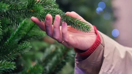 Realistické 3D vánoční stromečky jsou běžnou součástí domácností. Jaké nabízejí výhody?
