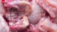 Veterináři: Čtvrtina kontrolovaného drůbežího z dovozu obsahovala salmonelu