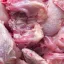 Veterináři: Čtvrtina kontrolovaného drůbežího z dovozu obsahovala salmonelu