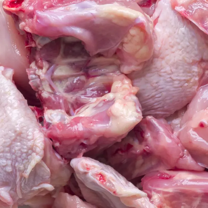 Veterináři: Čtvrtina kontrolovaného drůbežího z dovozu obsahovala salmonelu