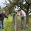 Sousedovo ovoce padá na váš trávník: Zákoník jasně říká, komu patří a co smíte uříznout