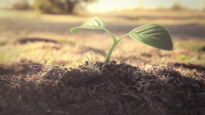 TERA: Rising - relaunch trailer