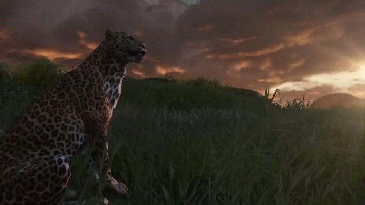 Far Cry 3 - možnosti herního světa