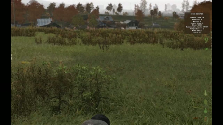 DayZ - necenzurované záběry ze hry #3