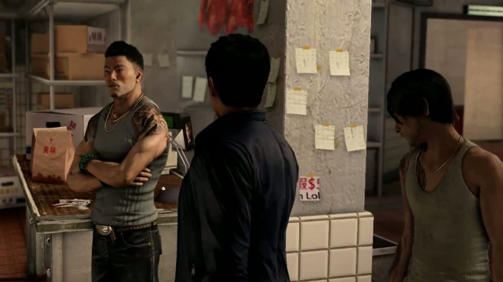 Sleeping Dogs - videorecenze