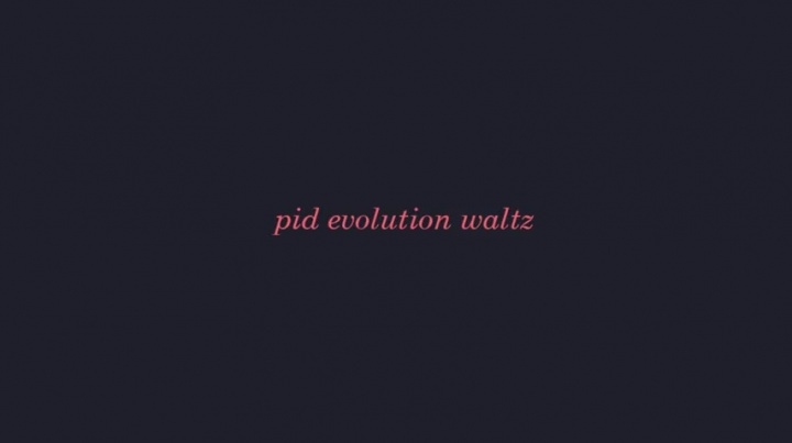 Pid - evoluce
