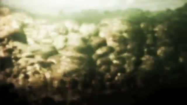 Warface - GC 2011 trailer