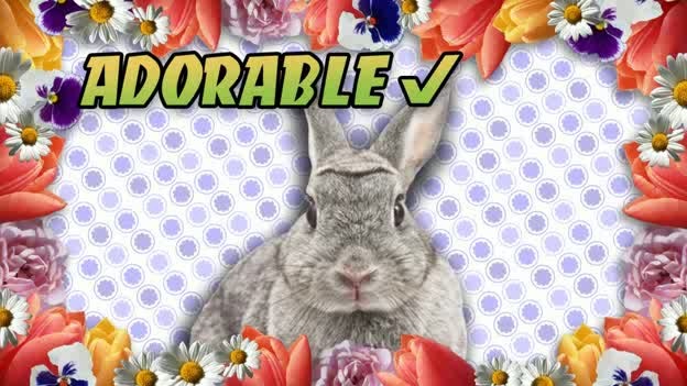 All Zombies Must Die! - králičí zombík