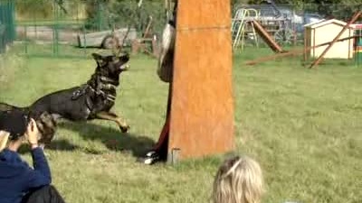 Hardy Bohemia Atomica