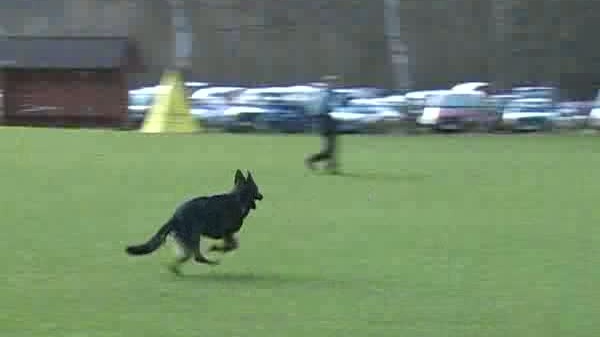 VS Krchleby 2010 - C.