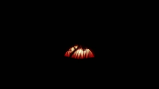 Far Cry 2 teaser trailer