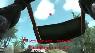 Crysis "Wiisis" demonstration