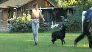 Jorika Bohemia Atomica