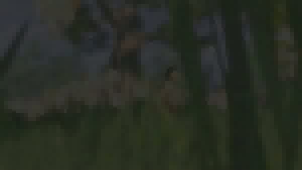 Fable 2 launch trailer ok