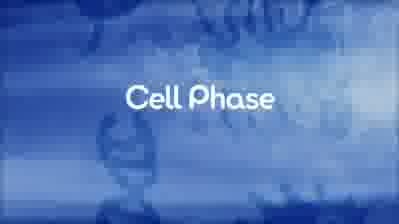 Spore cell phase trailer