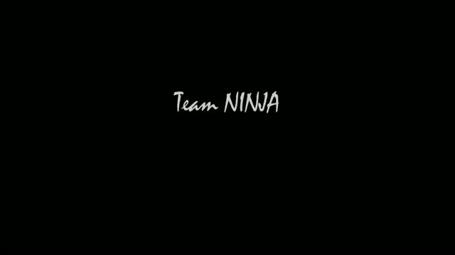 Ninja Gaiden 3 - teaser