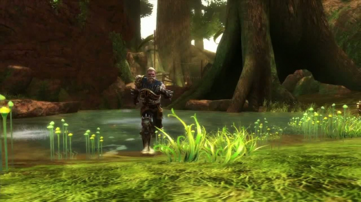 Kingdoms of Amalur: Reckoning - představení herních prvků
