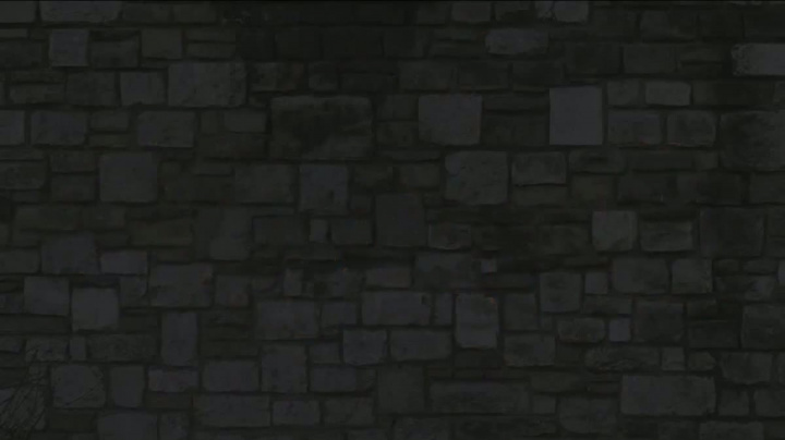 Crusader Kings II - GC 2011 trailer