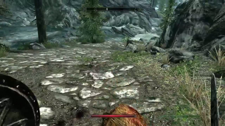 The Elder Scrolls V: Skyrim - záběry ze hry