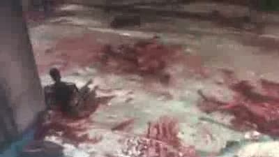 Awakened - promo trailer