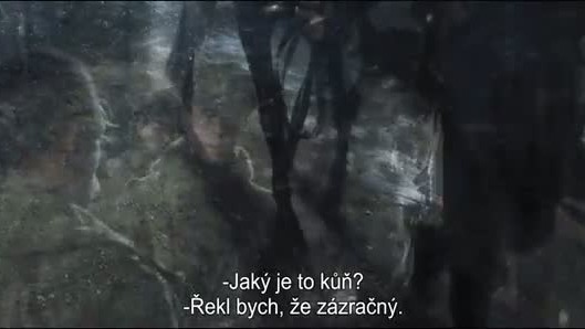 Válečný kůň