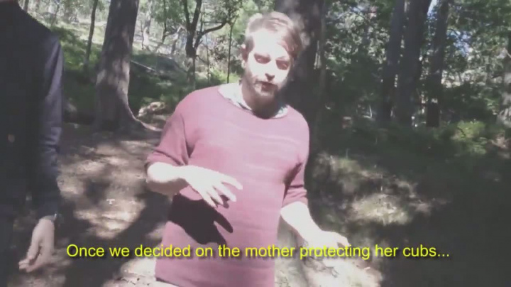 Shelter - Development Diary