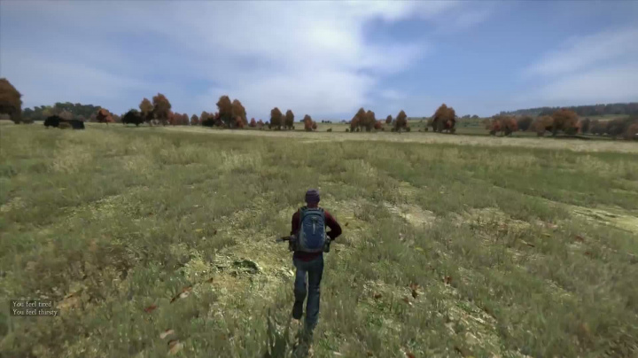 DayZ - devblog 3. 8.