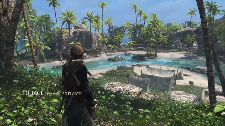 Assassin's Creed IV: Black Flag - next-gen engine