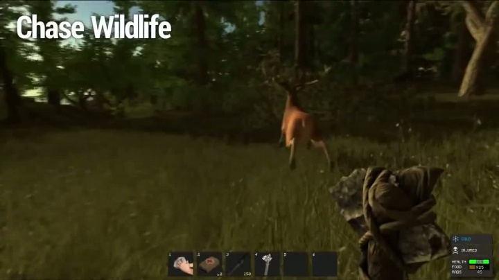 Rust - první den ve hře