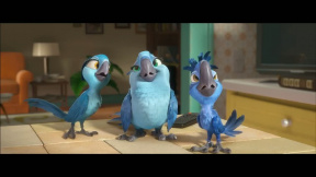 Rio 2
