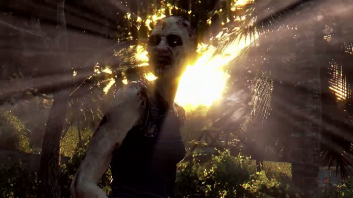 Dying Light - PS4 video