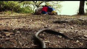 Mikulášovy patálie na prázdninách