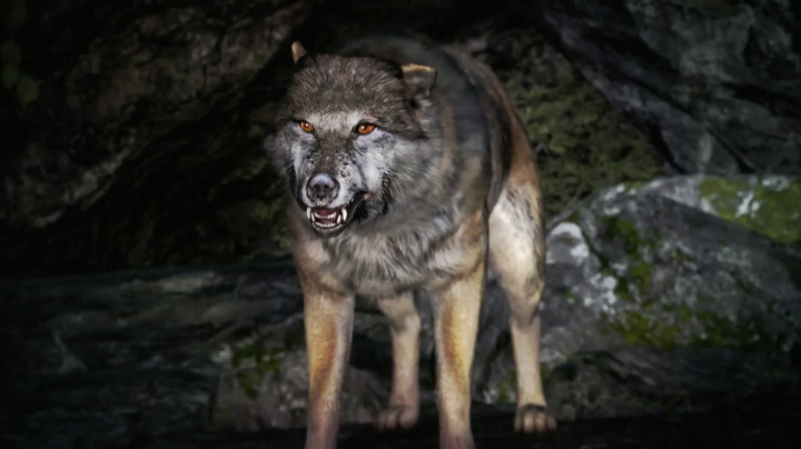Far Cry 4 - Survive Kyrat
