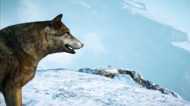 Far Cry 4 - vítejte na severu