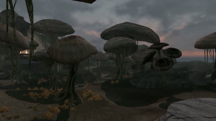 Skywind - průlet Sheogoradem