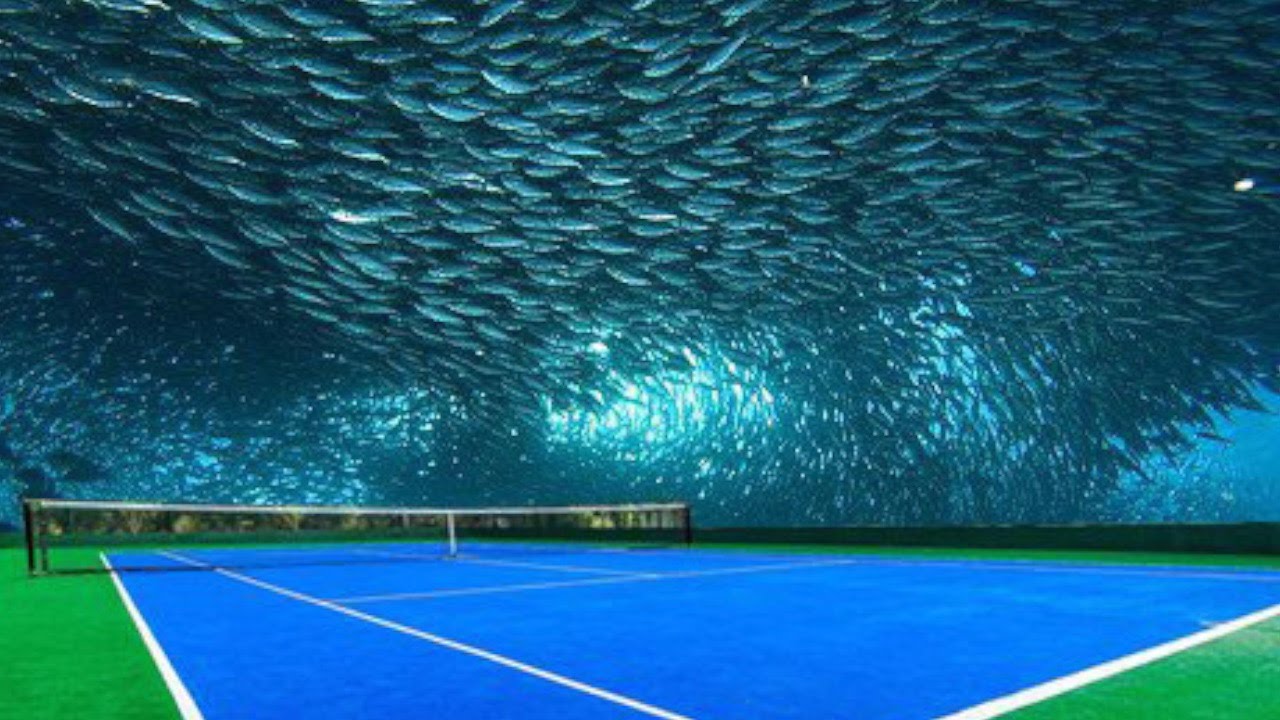 Sci-fi podmořská tenisová hala v Dubaji. Šli byste na zápas?