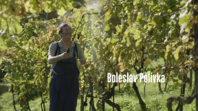 Domácí péče - oficiální trailer