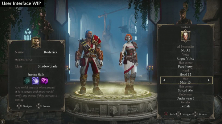 Divinity: Original Sin - Enhanced Edition - GC2015 overview