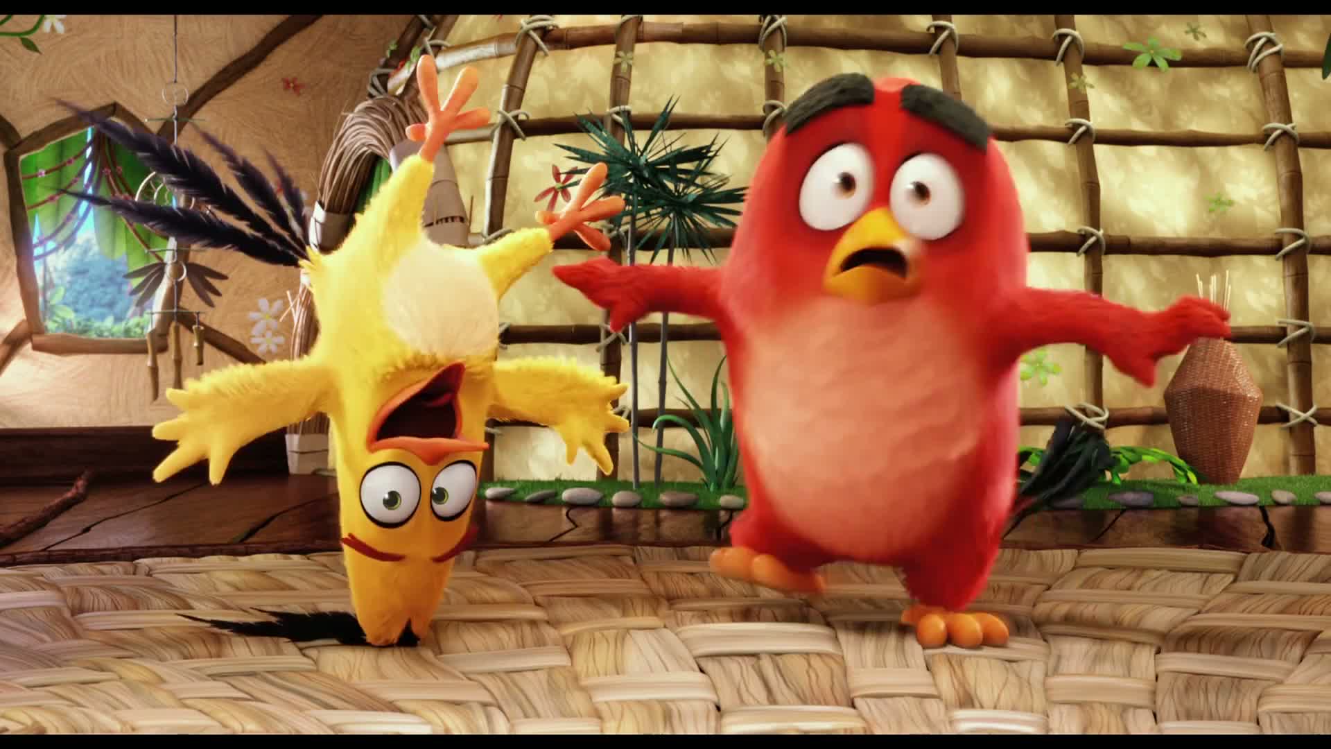 Chystá se animovaný film podle hry Angry Birds