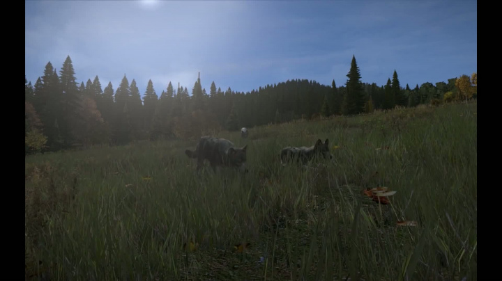 DayZ - Predators Teaser Footage