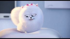 Tajný život mazlíčků (2016): Trailer