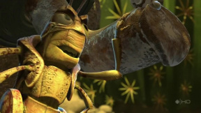 Život brouka - ukázka