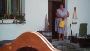 Slunce, seno, jahody - ukázka