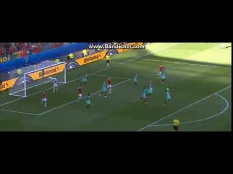 Zoltan Gera goal-Hungary 1 - 0 Portugal-euro 2016