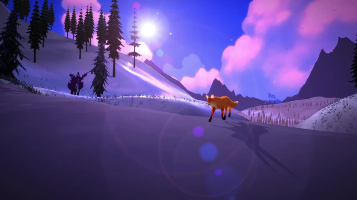 The First Tree - Official Teaser
